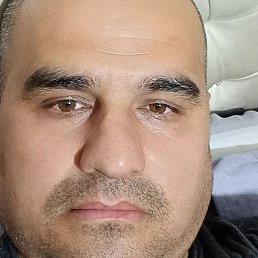 ����, �����, 33 ����