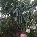 ���� ������, �����, 53 ���� - ��������� 18 ������� 2023 � ������ ���� ����������