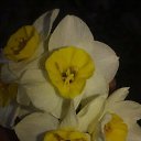 ���� ����, �����-���������, 40 ��� - ��������� 2 ���� 2023