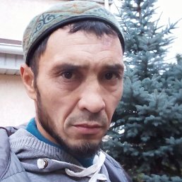 �����, ������, 43 ����