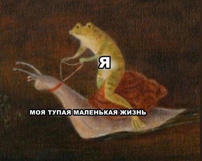    - 18  2023  08:22
