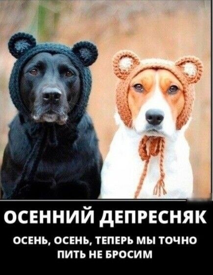 ***Victoria Viktorovna*** - 13  2023  14:12