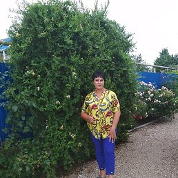 �����, ���������, 50 ���