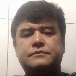 ���������, ������, 51 ���