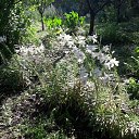 ���� ���������, ����������, 65 ��� - ��������� 17 ������ 2023