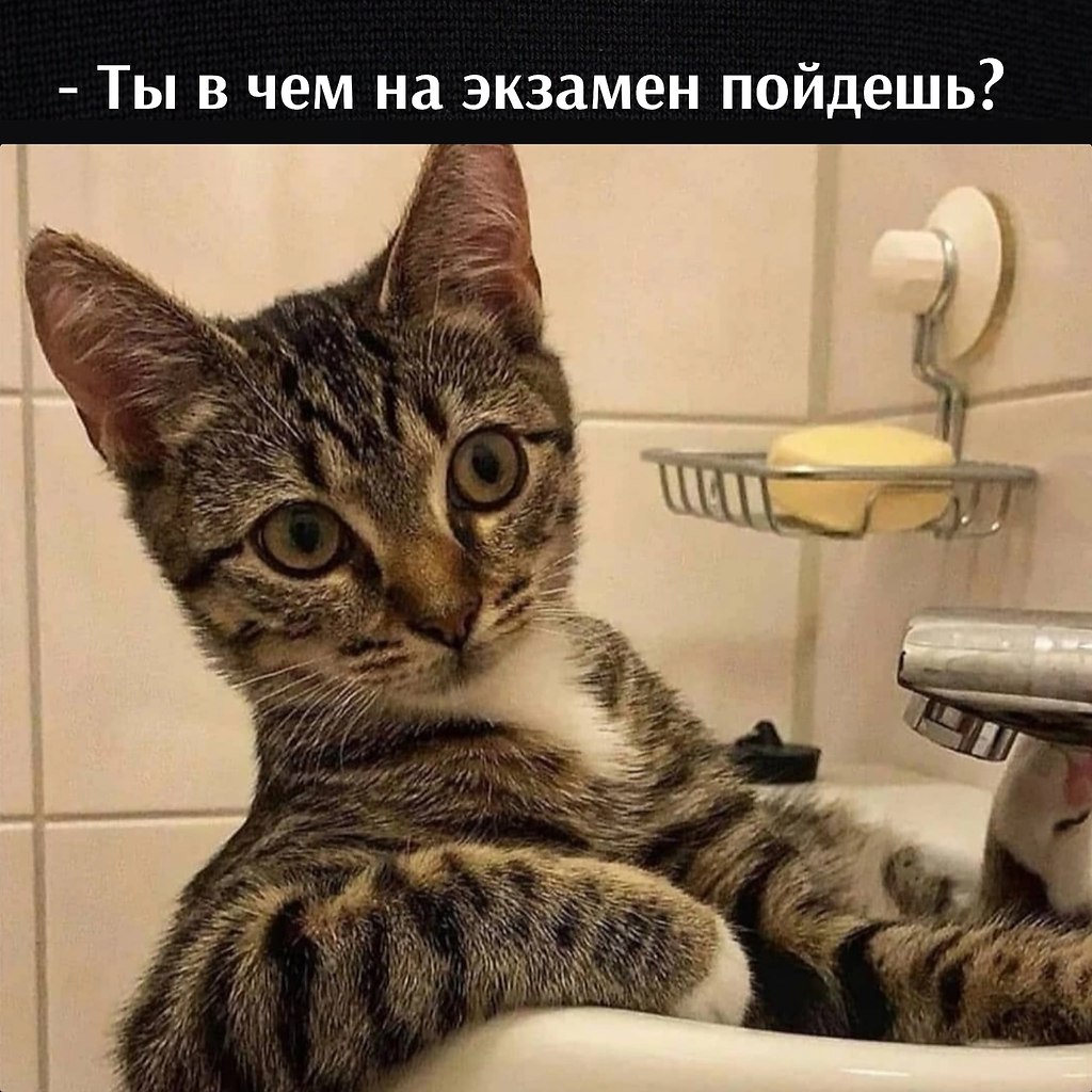       - 29  2023  12:35