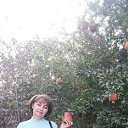 ���� �����, �������, 57 ��� - ��������� 9 ������ 2023