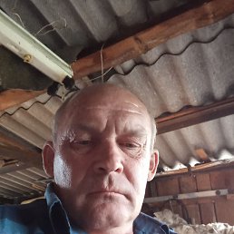 ������, ���������, 51 ���