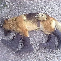 ���� �������, ���������, 44 ���� - ��������� 9 ����� 2023