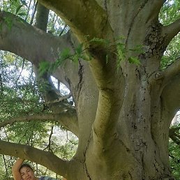 �����, ������, 48 ���