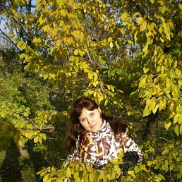 �����, ���������, 45 ���