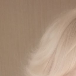 ������, ���, 64 ����