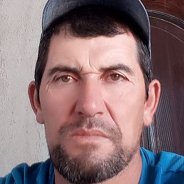 �����, �����, 41 ���