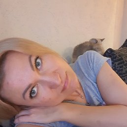 �����, ��������, 47 ���