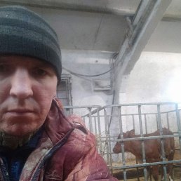 ������, ��������, 42 ����