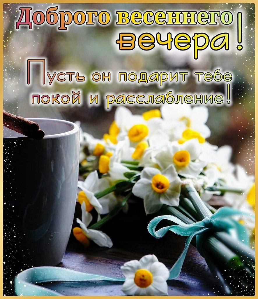   ,    . - 5  2023  19:03