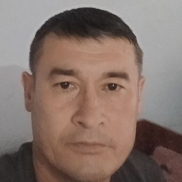 �����, �������, 50 ���