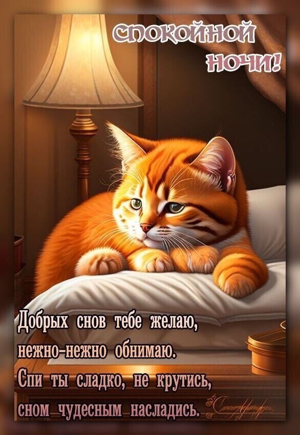 -- -- -- -- -- -- -- -- -- -- -- --