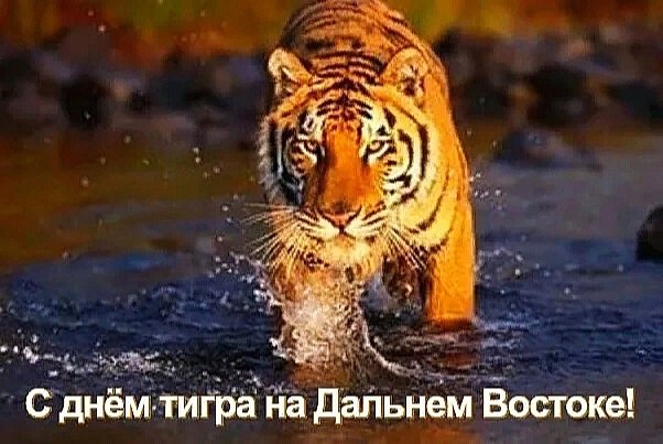 : , , , , , , , , , ,  - 4