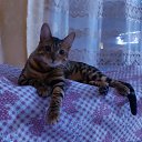 ���� �������, ���������, 47 ��� - ��������� 14 ������� 2023 � ������ ���� ����������