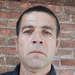 ����, ������, 46 ���