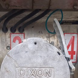 ��������, ������, 49 ���