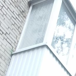 Pavel, �����-���������, 29 ���