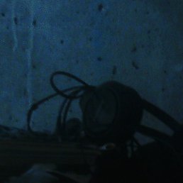 ����, ������, 43 ����