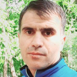 ����, �����-���������, 40 ���