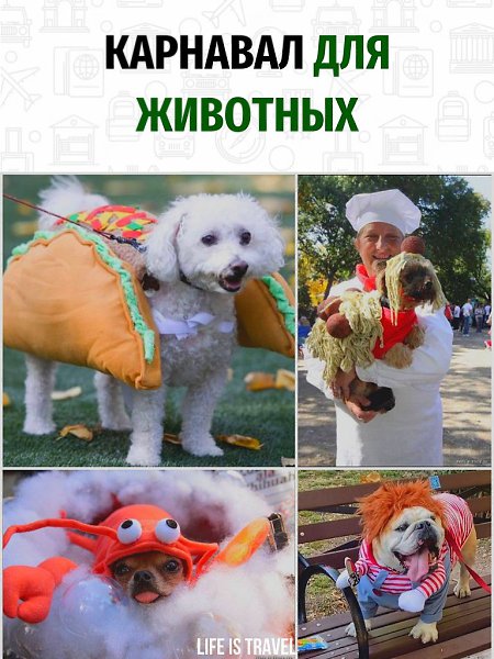 Собака - сосиска в тесте.А еще собака - принцесса или собака - инспектор. Ведь на карнавале для ...
