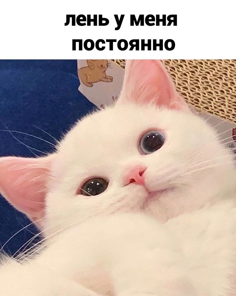    ) - 3