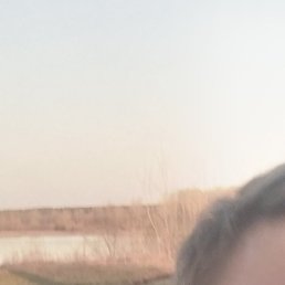 ������, ������, 44 ����