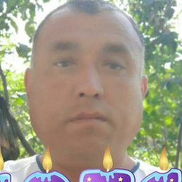 , , 49 