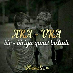  Bek, , 33  -  8  2023