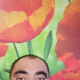 ���� ������, ������, 43 ���� - ��������� 31 ������� 2023