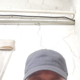 ����, �������, 43 ����