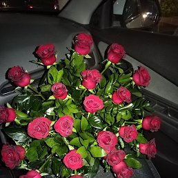 Jamshid, , 29 