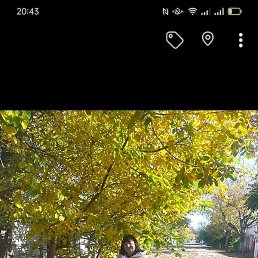 �������, ������, 54 ����