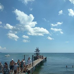 ����������, ������, 46 ���