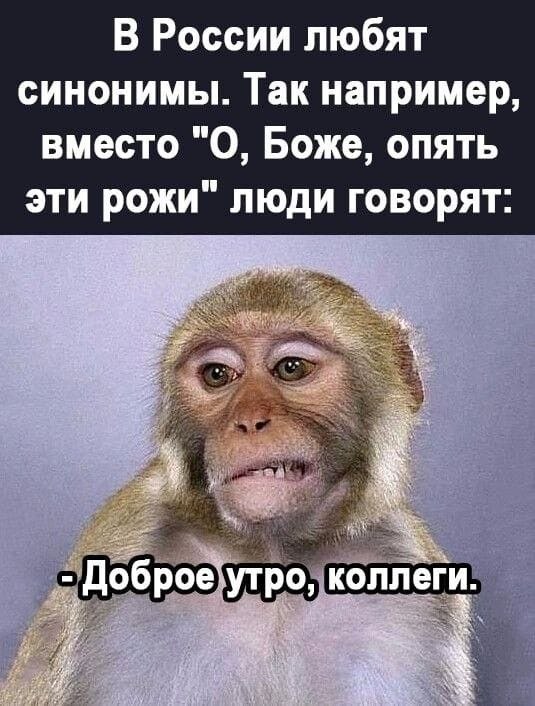  - 5  2023  21:52