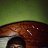 ���� Mewoli Theophile, �����, 47 ��� - ��������� 4 ������� 2023