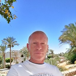 �������, �����, 49 ���