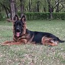 ���� ������, �����������, 46 ��� - ��������� 12 ��� 2023 � ������ ���� ����������