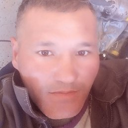 �����, ������, 44 ����