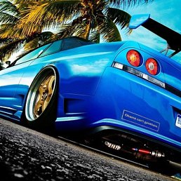 �������, ������������, 24 ����