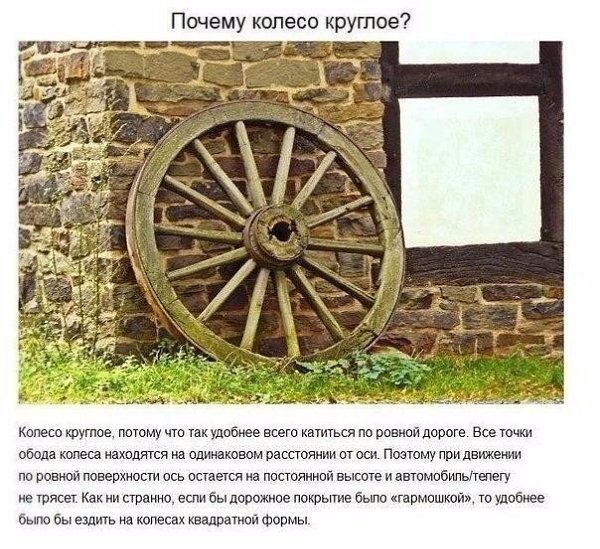 Ответы на детские вопросы, от которых «взрывается» мозг. - 6