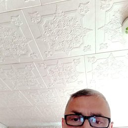 ���� ������, ���������, 58 ��� - ��������� 8 ���� 2023