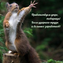 , , 54 