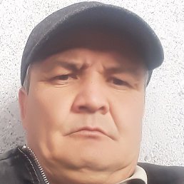 ����, �����-���������, 48 ���