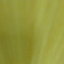 ���� ����, ������, 20 ��� - ��������� 12 ������� 2023 � ������ ���� ����������